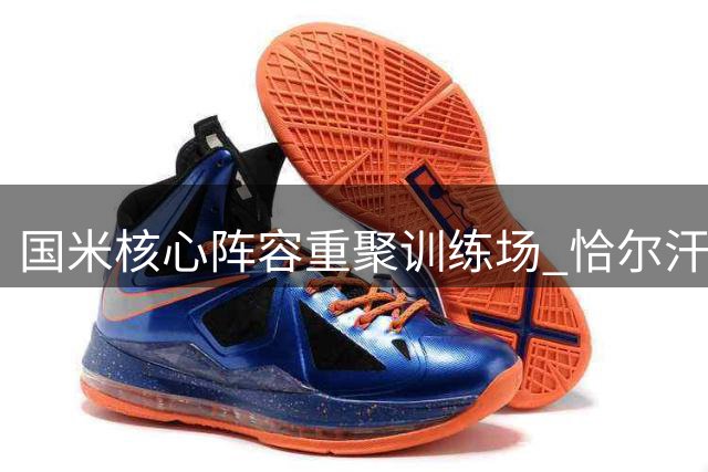 国米核心阵容重聚训练场 恰尔汗奥卢领衔开启亚洲行备战